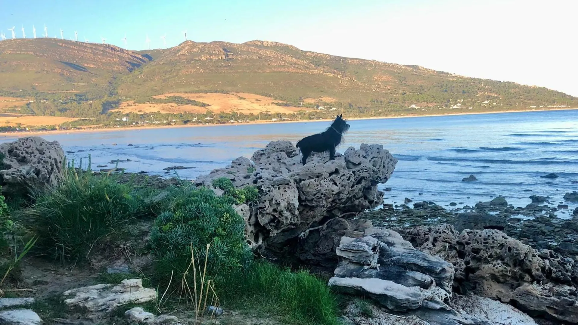 Appartamento Beautiful Coastal Retreat In Punta Paloma Tarifa 0*,